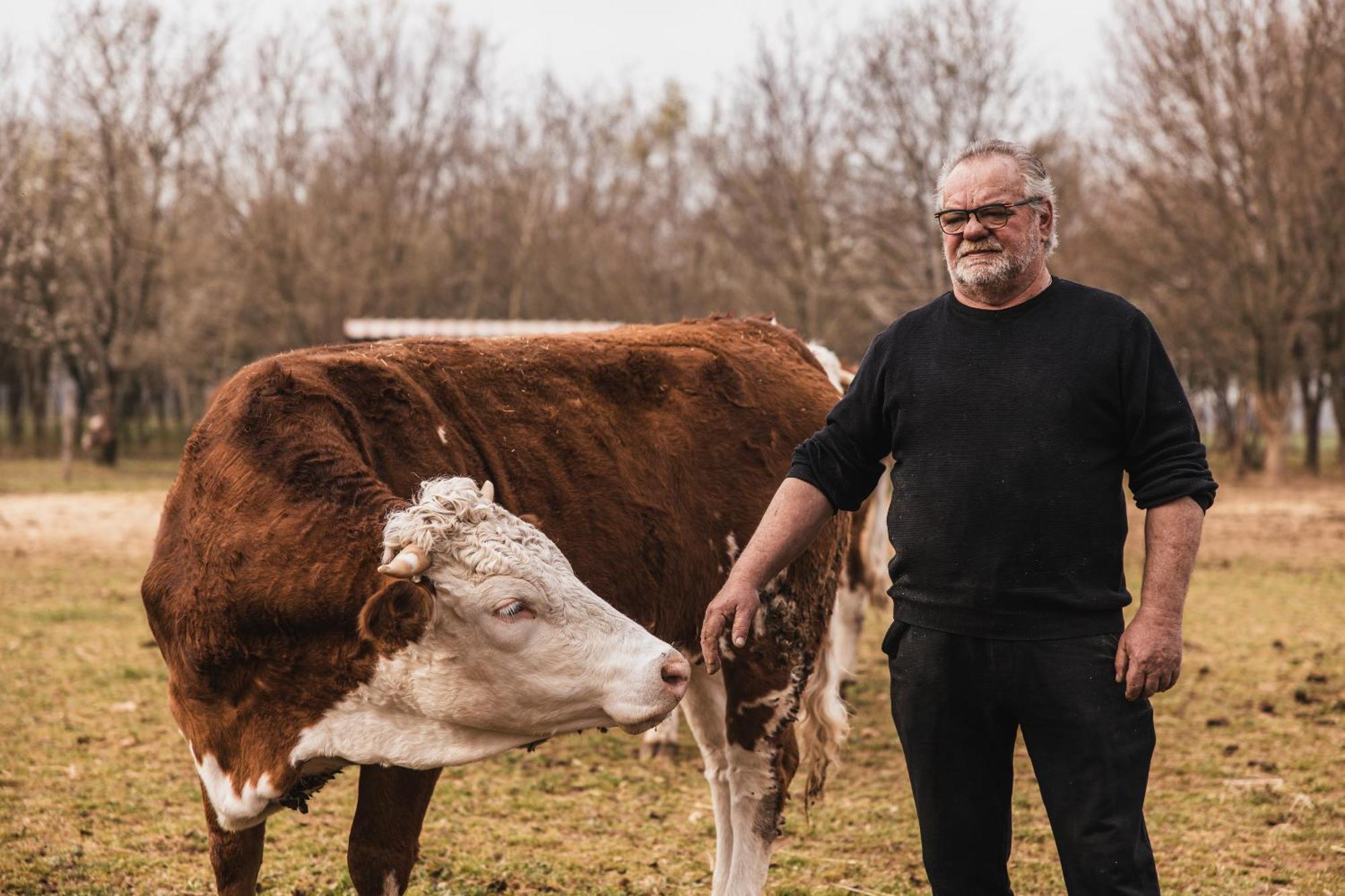 Agriturismo Borg Da Ocjs Medea Zewnętrze zdjęcie