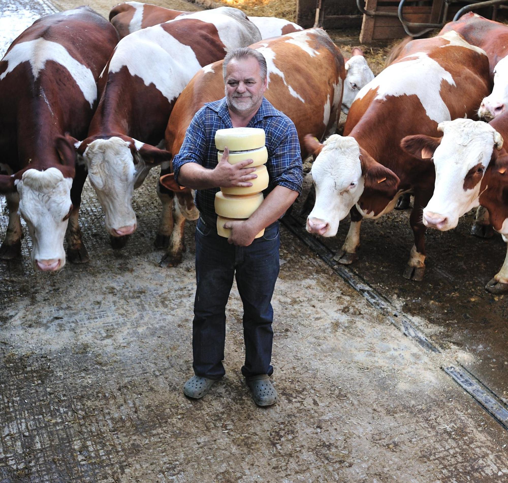 Agriturismo Borg Da Ocjs Medea Zewnętrze zdjęcie