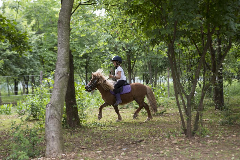 Agriturismo Borg Da Ocjs Medea Zewnętrze zdjęcie